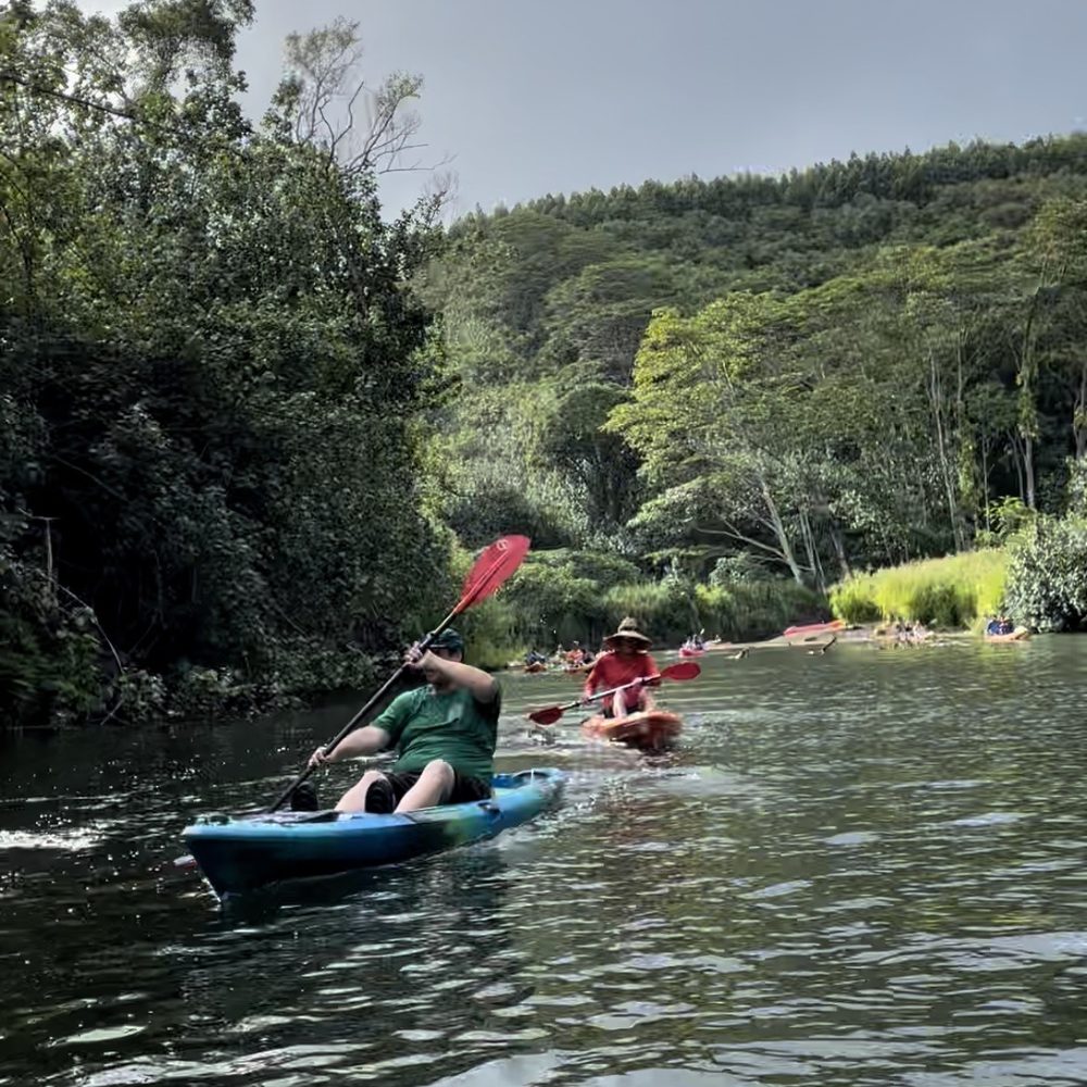 Kayak Wailua Tours - Wailua River, Reid (tour guide) in the back - Tours Near Me - Kapaa, Hawaii