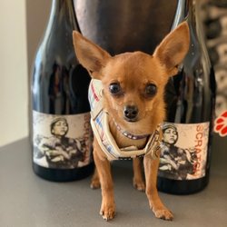 Scratch Wines - Cricket digs us!!