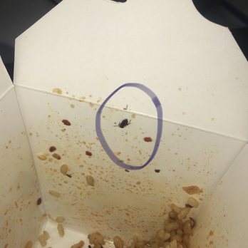P.F. Chang's - We found a bug in the rice!!! - Chinese Near Me - Arlington, Texas P.F. Chang's - We found a bug in the rice!!! - Chinese Near Me - Arlington, Texas