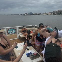 Charleston Party Cat - Great vibes onboard
