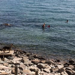 Holiday House - Come on in the waters great, clear, and magnificent!