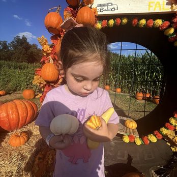 Sweet Eats Adventure Farm - Attraction Farms Near Me - Georgetown, Texas