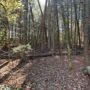 Foxfire Mountain Adventure Park - Hiking Near Me - Sevierville, Tennessee Foxfire Mountain Adventure Park - Hiking Near Me - Sevierville, Tennessee