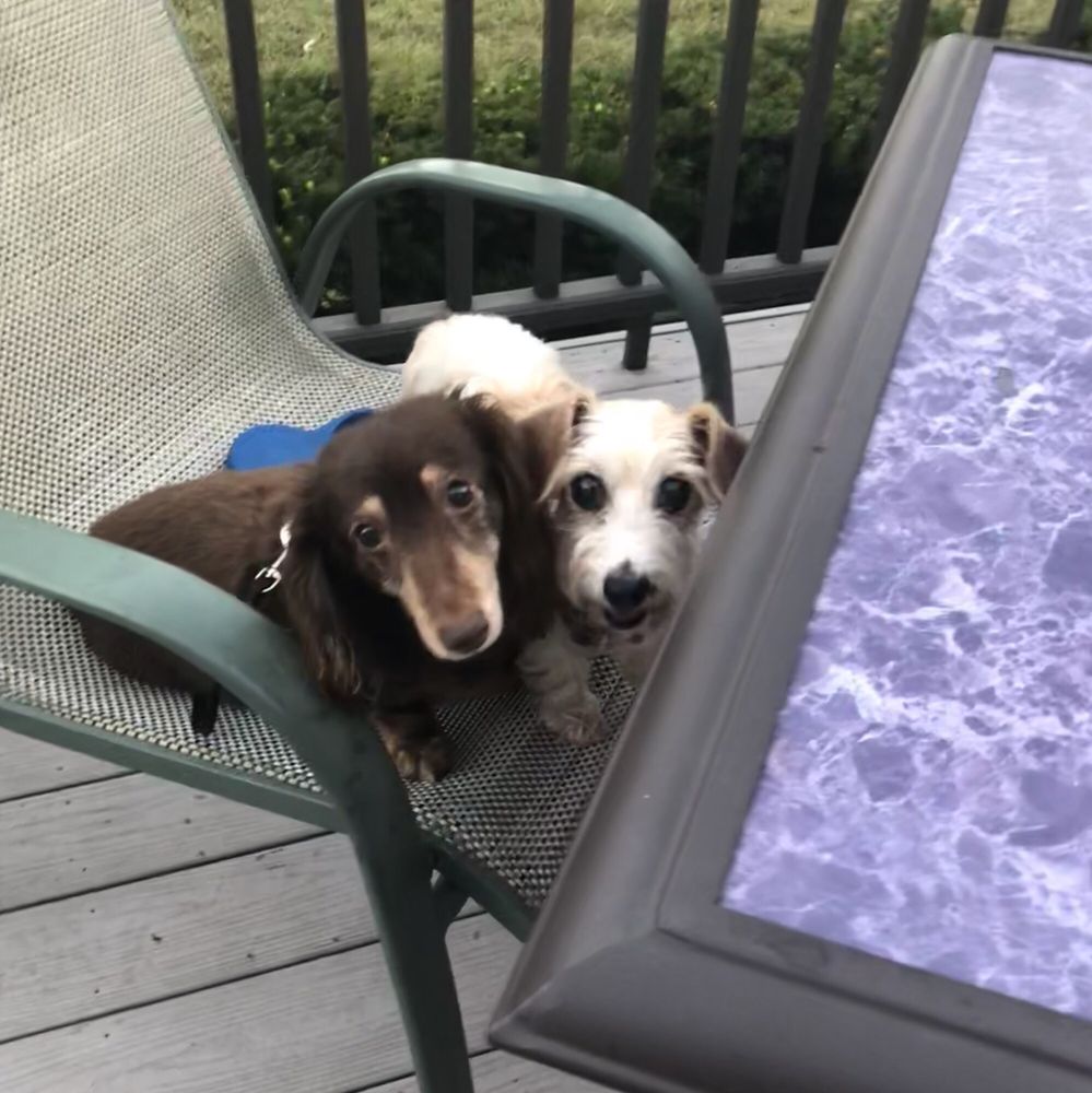 SILVER CITY SPORTS BAR & GRILL Updated September 2024 11 Photos & 38 Reviews 275 Research