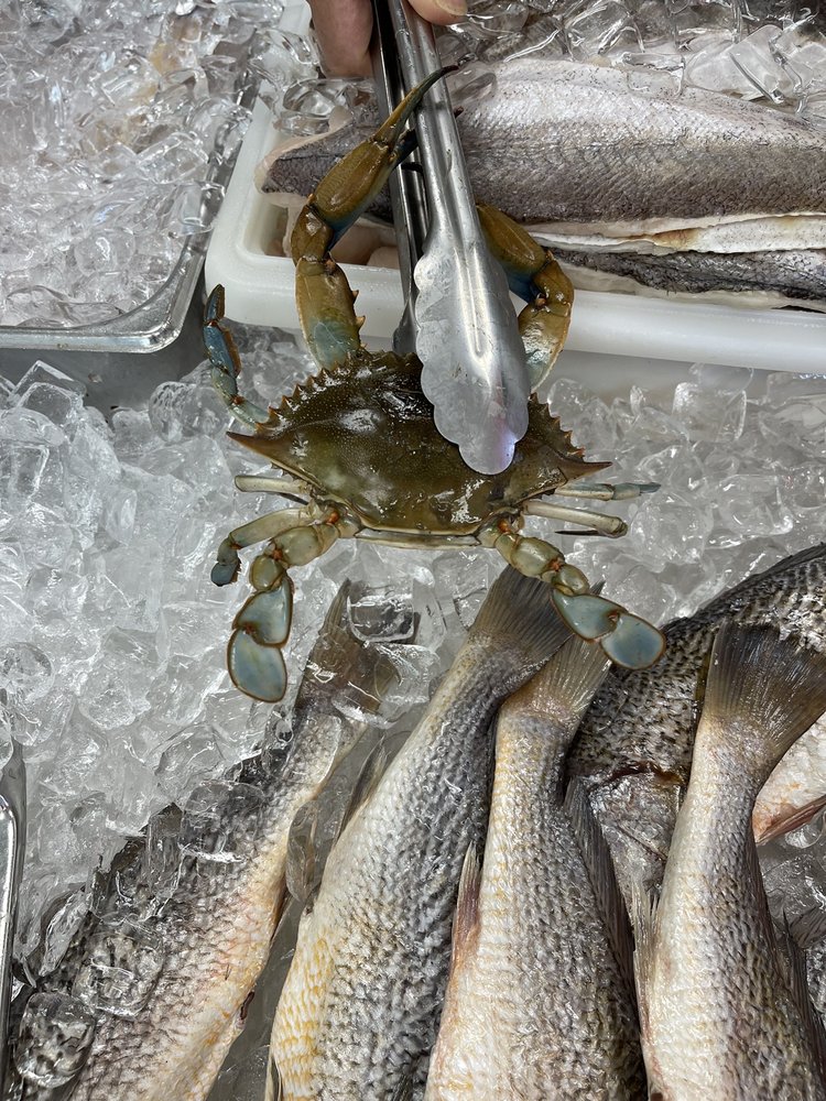 JIMS SEAFOOD MARKET Updated September 2024 13 Reviews 2103 N