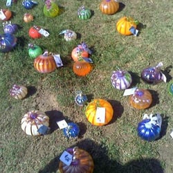 Glass Pumpkin Harvest - Pumpkin Path