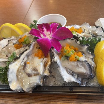 Sushi Little - The oysters were so fresh, taste like the ocean going to get again - Sushi Bars Near Me - Glendale, Arizona Sushi Little - The oysters were so fresh, taste like the ocean going to get again - Sushi Bars Near Me - Glendale, Arizona
