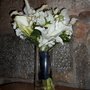 Photo of Showers of Flowers