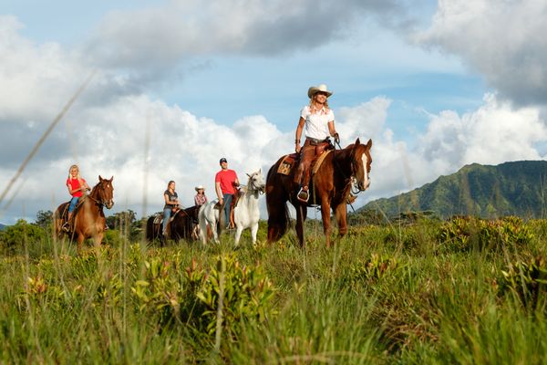 Princeville Ranch by null