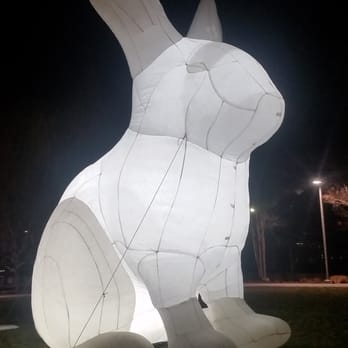 The Yards Park - More bunnies - Parks Near Me - Washington, DC, District of Columbia The Yards Park - More bunnies - Parks Near Me - Washington, DC, District of Columbia