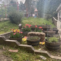 The Falls Church Episcopal Day School - Children's garden - flowers first then the veggies.