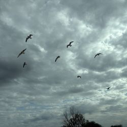 Lake Buchanan