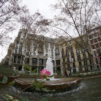 Barcelona - Local Flavor Near Me