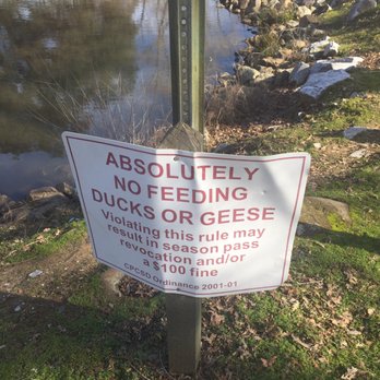 Cameron Park Lake - Warning signs - Lakes Near Me - Cameron Park, California Cameron Park Lake - Warning signs - Lakes Near Me - Cameron Park, California