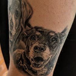 Tattoo Boogaloo - Dog portraits by Mez Love