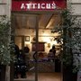 Photo of Atticus