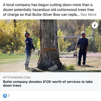 Over The Top Tree Service - Community service - Tree Services Near Me