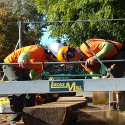 Pacific Tree Care