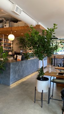 NOMAD Coffee & Bakery by null