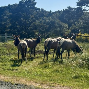 Nehalem Bay State Park - Campgrounds Near Me - Nehalem, Oregon Nehalem Bay State Park - Campgrounds Near Me - Nehalem, Oregon