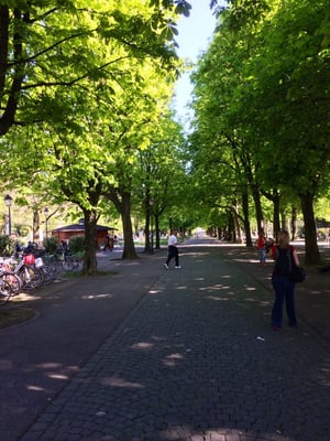 Reformation Wall by null