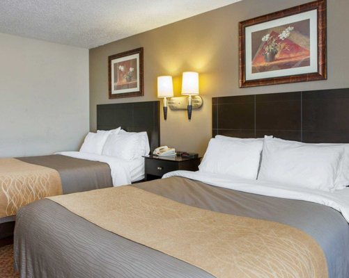Comfort Inn 16 Fotos Hoteles 1782 N Main St Bluffton In
