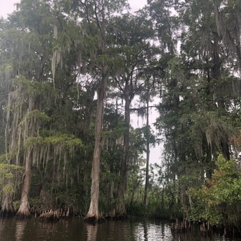 Ultimate Swamp Adventures - Beautiful swamps! - Tours Near Me - Westwego, Louisiana Ultimate Swamp Adventures - Beautiful swamps! - Tours Near Me - Westwego, Louisiana