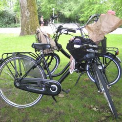 Bike City - Bicycle