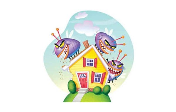 Spring Touch Mn SPRING TOUCH LAWN & PEST CONTROL - Updated June 2026 - 11 Photos & 46 ...