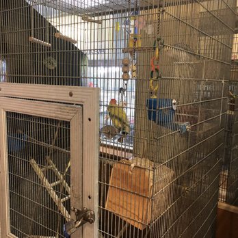 Alamo - Birds inside - Car Wash Near Me - Walnut, California