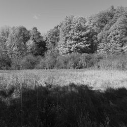 Bindertwine Park