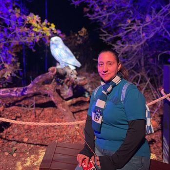 HARRY POTTER A FORBIDDEN FOREST EXPERIENCE - Updated November 2025