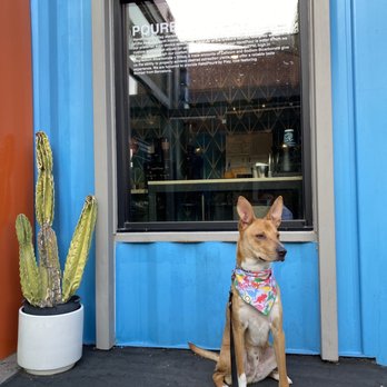PLAY Coffee - love the vibe here - Coffee & Tea Near Me - Fullerton, California PLAY Coffee - love the vibe here - Coffee & Tea Near Me - Fullerton, California