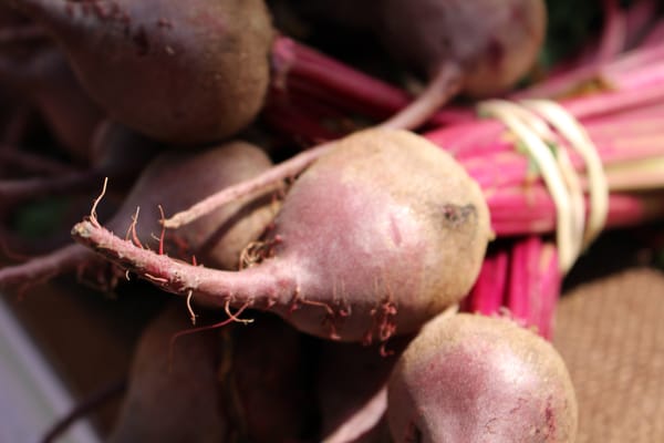 Lafayette Farmers and Artisan Market at the Horse Farm by null