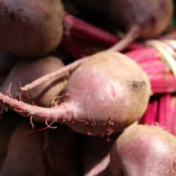 Lafayette Farmers and Artisan Market At the Horse Farm