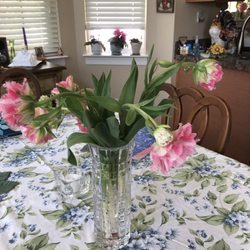 Henpecked Husband Nursery - Double ruffled tulips