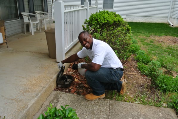 Rodent Control - BioTech Pest Management is a small team of experts that specialize in treating for mice, rats and cockroaches local to the Washington DC region. Rodent Control - BioTech Pest Management is a small team of experts that specialize in treating for mice, rats and cockroaches local to the Washington DC region.