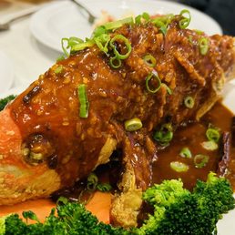 Red Snapper Whole