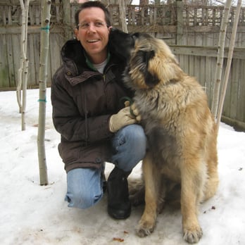 Diggers Dog Walking - Kiss from Shuggie! - Dog Walkers Near Me - Minneapolis, Minnesota Diggers Dog Walking - Kiss from Shuggie! - Dog Walkers Near Me - Minneapolis, Minnesota