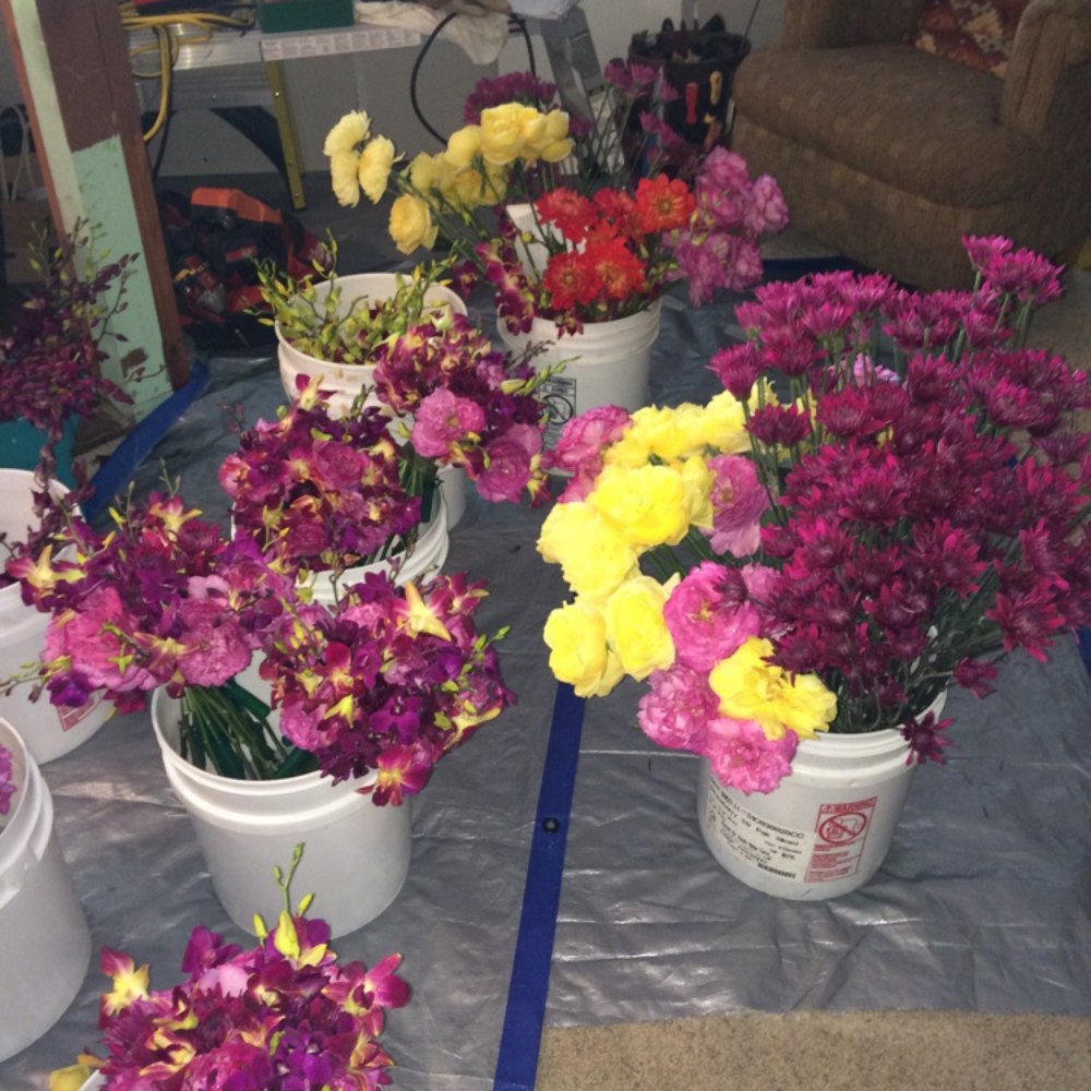 Fifty Flowers - Floral Designers Near Me Fifty Flowers - Floral Designers Near Me
