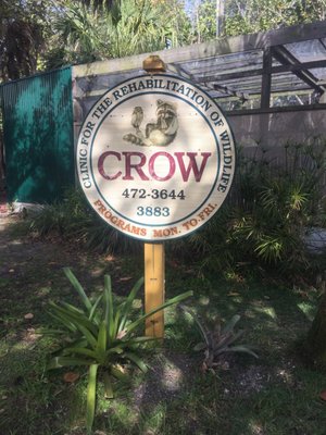 Clinic for the Rehabilitation of Wildlife (CROW) - Visitor Education Center by null
