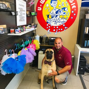 u wash doggie near me