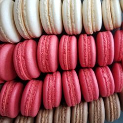 Smores, raspberry, and dark chocolate macarons shells!