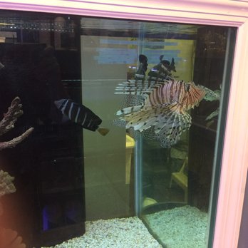 Aquaridise - Aquariums Near Me - East Brunswick, New Jersey