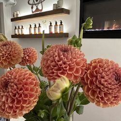 Inner Health Colonic Hydrotherapy - Pretty Dahlias
