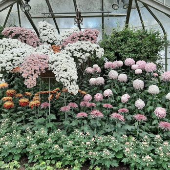 Centennial Park Conservatory - Parks Near Me - Toronto, Ontario