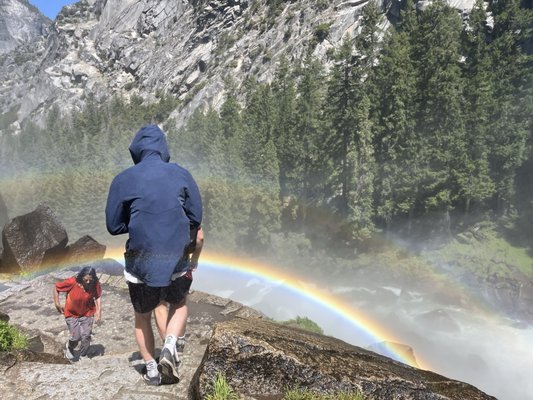 Mist Trail by null