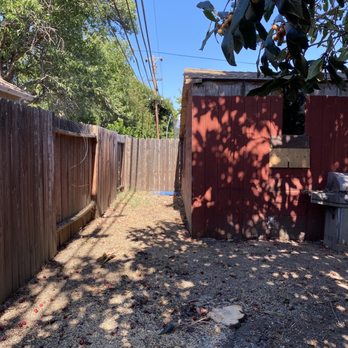Ray's Tree Services - After the cut - Tree Services Near Me - Vallejo, California Ray's Tree Services - After the cut - Tree Services Near Me - Vallejo, California