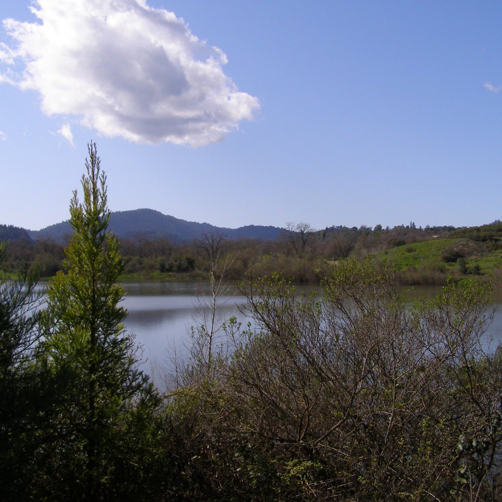 Riverfront Regional Park - Beautiful forested trail around gravel pit lake. - Parks Near Me - Healdsburg, California