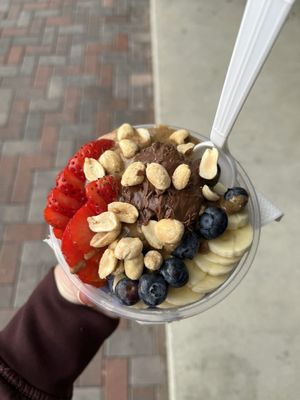 Amazonia Bowl by null